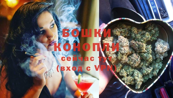 бошки Богданович