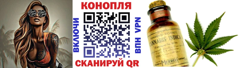 Канабис конопля  где продают   Шагонар 